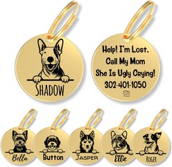 PawFurEver Dog Breed Stainless Steel Personalized Dog ID Tag, Bull Terrier, Gold