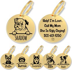 PawFurEver Dog Breed Stainless Steel Personalized Dog ID Tag, Bulldog, Gold