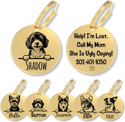 PawFurEver Dog Breed Stainless Steel Personalized Dog ID Tag, Cavapoo, Gold