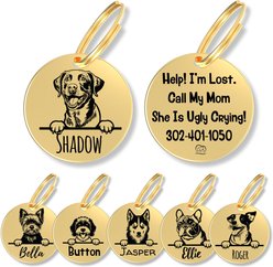 PawFurEver Dog Breed Stainless Steel Personalized Dog ID Tag, Chesapeake Bay Retriever, Gold