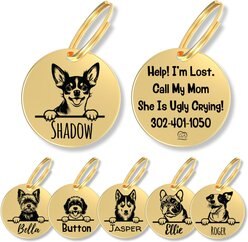 PawFurEver Dog Breed Stainless Steel Personalized Dog ID Tag, Chihuahua, Gold