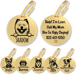 PawFurEver Dog Breed Stainless Steel Personalized Dog ID Tag, Chow Chow, Gold