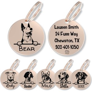 PawFurEver Dog Breed Stainless Steel Personalized Dog ID Tag, English Bull Terrier, Rose