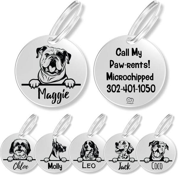PAWFUREVER Dog Breed Stainless Steel Personalized Dog ID Tag, English