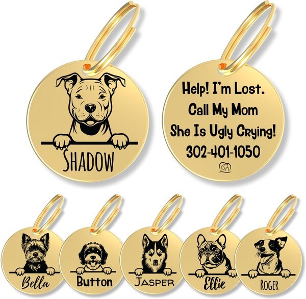 PAWFUREVER Dog Breed Stainless Steel Personalized Dog ID Tag, Pitbull ...