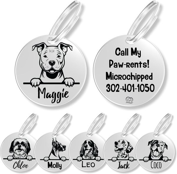 PAWFUREVER Dog Breed Stainless Steel Personalized Dog ID Tag, Pitbull
