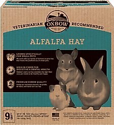 Oxbow Alfalfa Hay Small Animal Food, 9-lb box