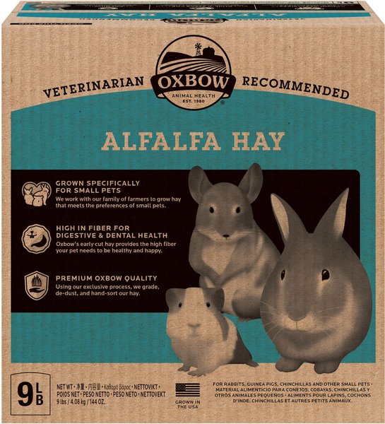 Oxbow Alfalfa Hay Small Animal Food, 9-lb box slide 1 of 10