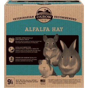 Oxbow Alfalfa Hay Small Animal Food, 9-lb box