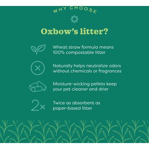 Oxbow Eco-Straw Pelleted Wheat Straw Small Animal Litter, 20-lb bag