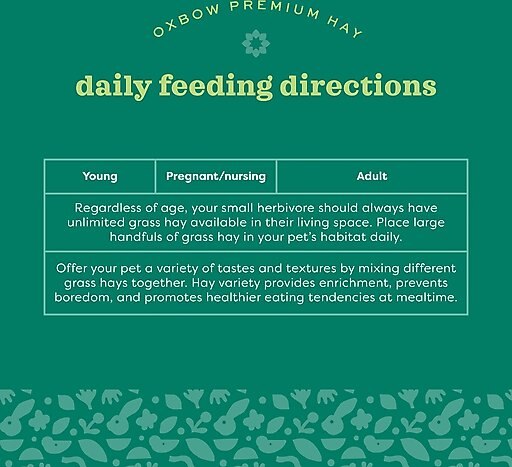 Oxbow Botanical Hay Small Animal Food, 15-oz bag
