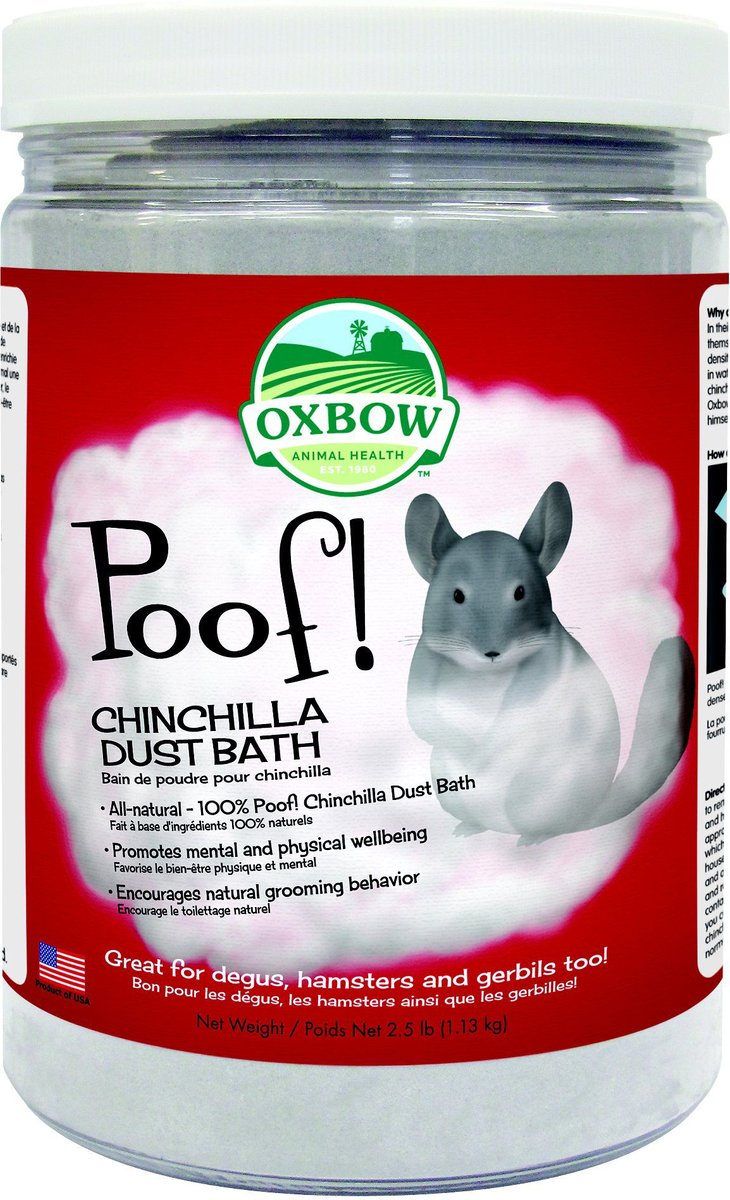 Chinchilla supplies 2024