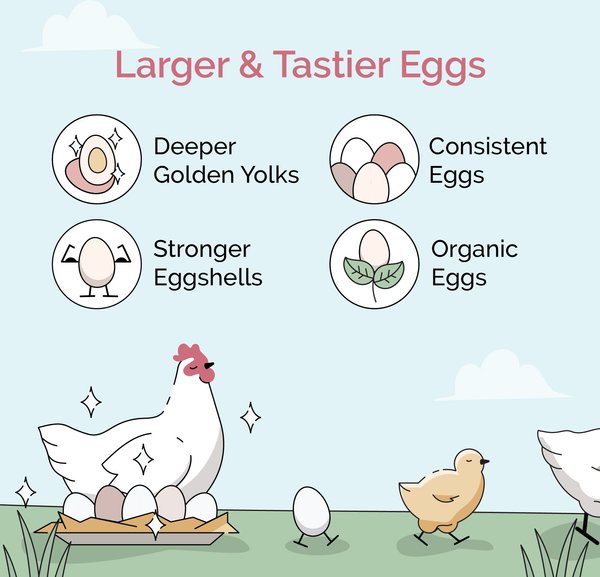 Show full view: Mile Four Grower Organic 18% Protein Pellet Chicken & Duck Feed, 23-lb bag slide 5 of 17