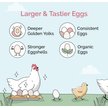 Show in main carousel: Mile Four Grower Organic 18% Protein Pellet Chicken & Duck Feed, 23-lb bag slide 5 of 17