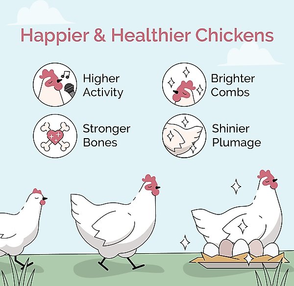 Show full view: Mile Four Grower Organic 18% Protein Pellet Chicken & Duck Feed, 23-lb bag slide 7 of 17