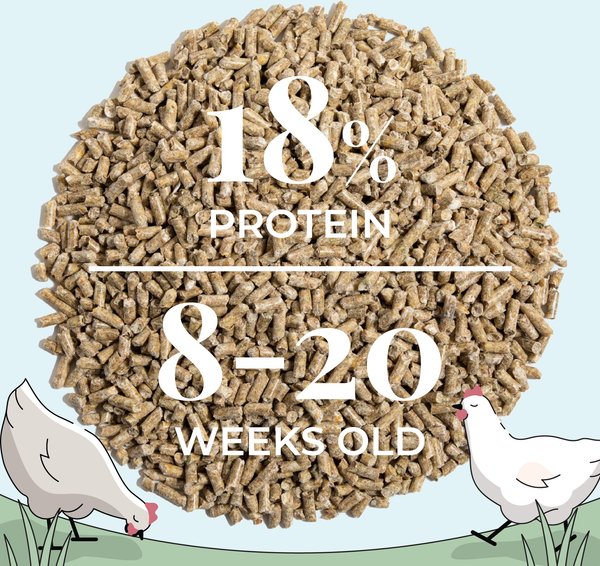 Show full view: Mile Four Grower Organic 18% Protein Pellet Chicken & Duck Feed, 23-lb bag slide 15 of 17