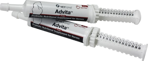 VetOne Advita Probiotic Nutritional Apple Flavor Paste Horse Supplement 30 g tube