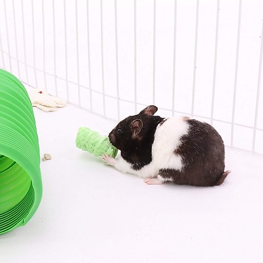 Ware Critter Pops Small Animal Fun Chew Treats, Large
