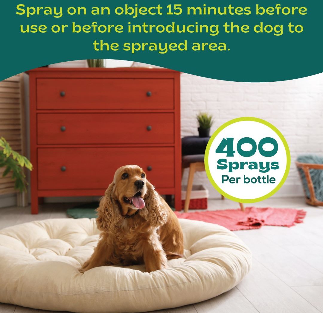 BSERENE Pheromone Calming Spray for Dogs, 60mL bottle