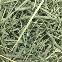 Oxbow Animal Health Western Timothy Hay All Natural Hay for Rabbits, Guinea Pigs, Chinchillas, Hamsters & Gerbils, 50-lb bag Bulk Size slide 2 of 9