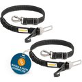 PAWBEE Elastic Dog Seat Belt, Black, 2 count