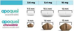 Apoquel (oclacitinib) Chewable Tablet for Dogs, 16mg, 30 tablets slide 2 of 4