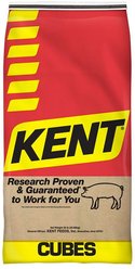 Kent Rodent Diet 19% Small Pet Food, 50-lb bag slide 1 of 4