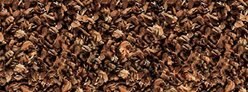 Exo Terra Forest Bark Natural Fir Terrarium Reptile Substrate, 24-qt slide 2 of 2