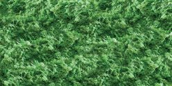 Exo Terra Moss Mat Terrarium Reptile Substrate, 12-in slide 2 of 2