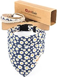 Pettsie Dog Collar Daisy & Bandana, Dark Blue, Large