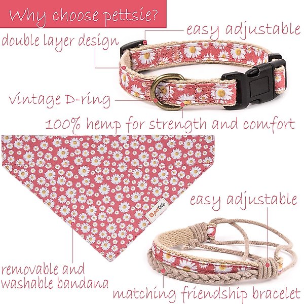 Pettsie Dog Collar Daisy & Bandana