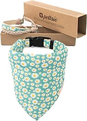 Pettsie Dog Collar Daisy & Bandana, Green, Large