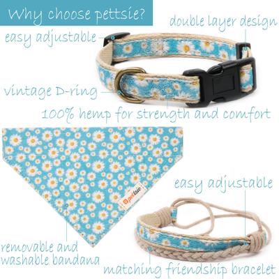 Show full view: Pettsie Dog Collar Daisy & Bandana, Turquoise, Small slide 4 of 8