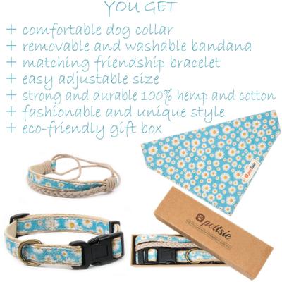 Show full view: Pettsie Dog Collar Daisy & Bandana, Turquoise, Small slide 7 of 8