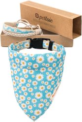 Pettsie Dog Collar Daisy & Bandana, Turquoise, Medium