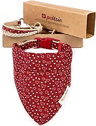 Pettsie Dog Collar Daisy & Bandana, Red, Medium