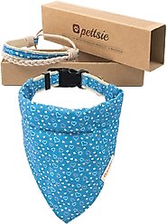 Pettsie Dog Collar Daisy & Bandana, Blue, Large