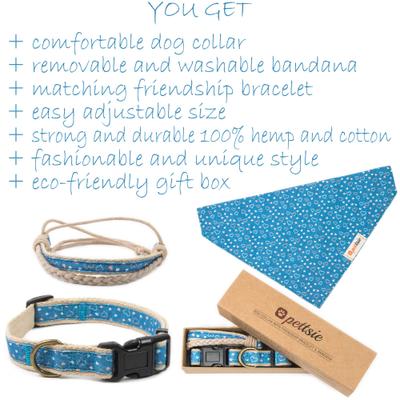 Show full view: Pettsie Dog Collar Daisy & Bandana, Blue, Large slide 7 of 9