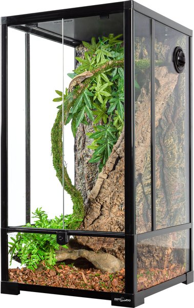 Zoo med tall outlet terrarium