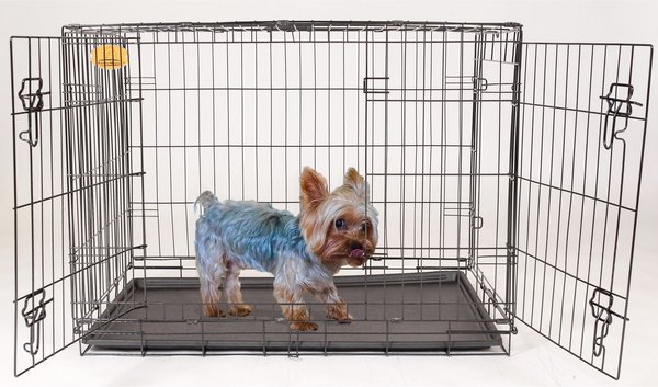 24 x 17 x 19 hot sale dog crate