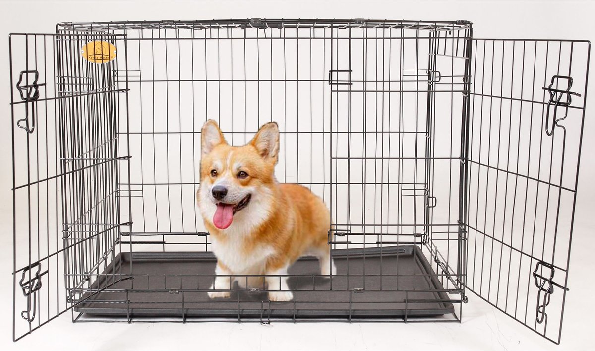 30 x 19 outlet dog crate