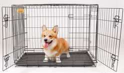KennelMaster 30-inx19-inx23-in Folding Dog Kennel Crate with divider, Black, 2 count