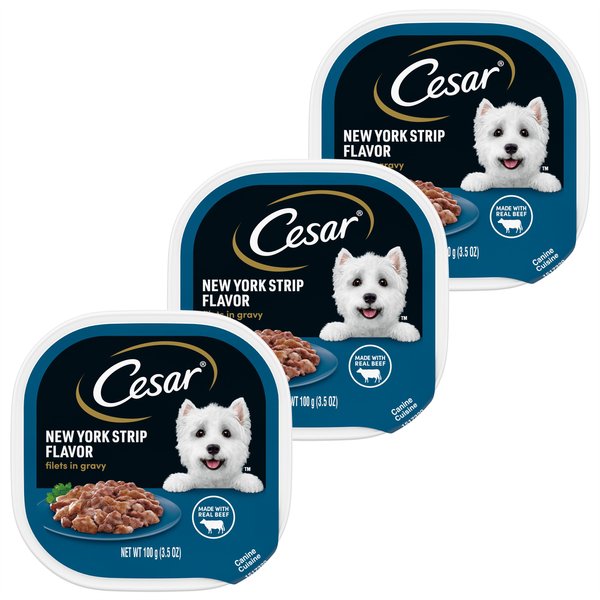 Dog Treats Cesar Dog Food Warning Cesar Dog Food CESAR Wet Dog