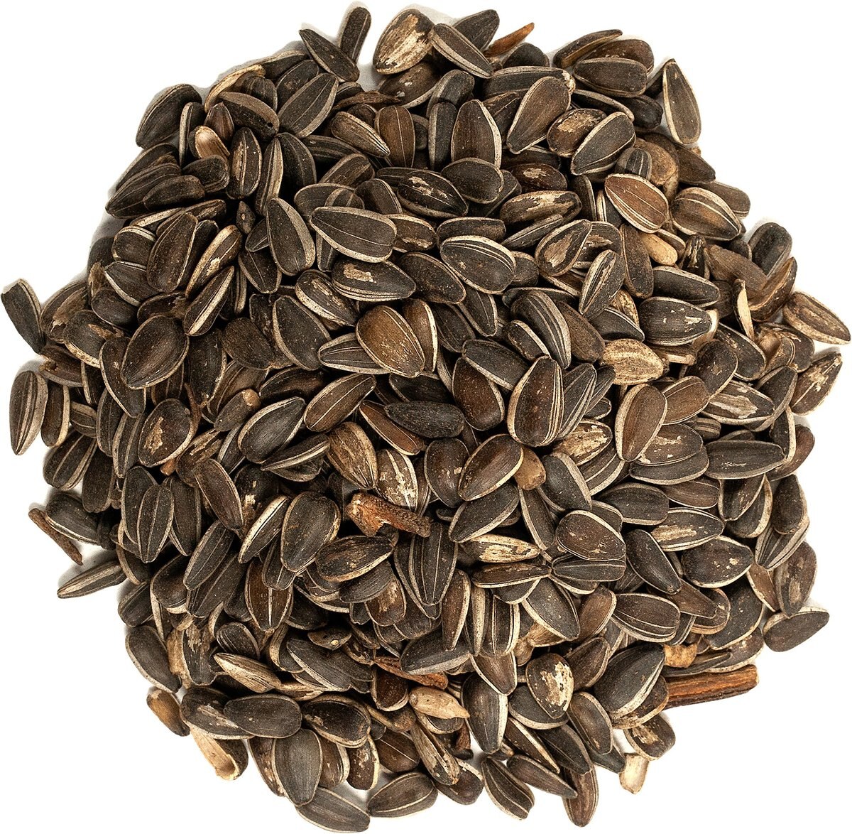 WAGNER'S 100 Striped Sunflower Seed Wild Bird Food, 5lb bag