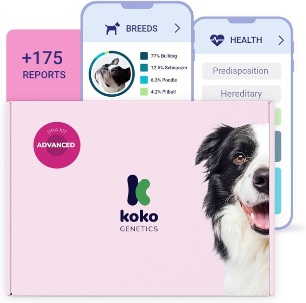 Koko Genetics Advanced DNA Test for Dogs