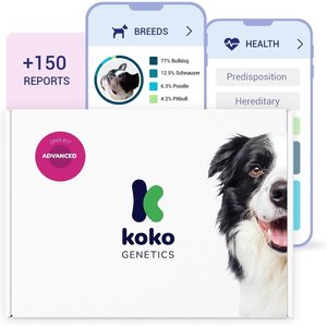 Koko Genetics Advanced DNA Test for Dogs