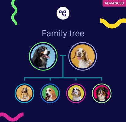 Show full view: Koko Genetics Advanced DNA Test for Dogs slide 7 of 12
