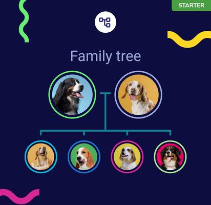 Show full view: Koko Genetics Starter DNA Test for Dogs slide 7 of 11