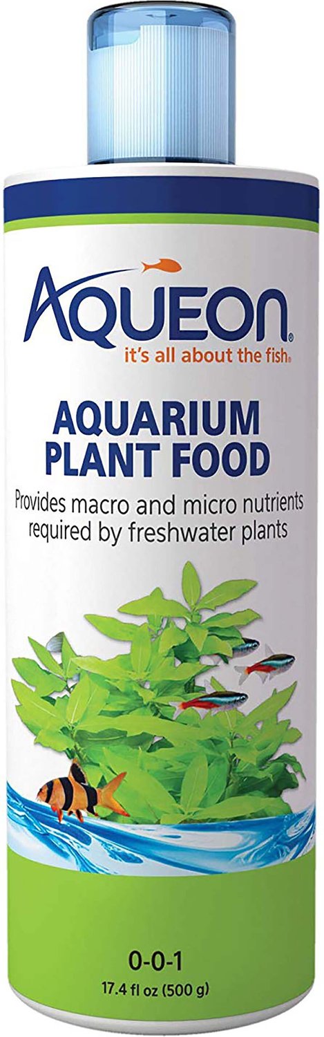 Aqueon Begonia Aquarium Plant