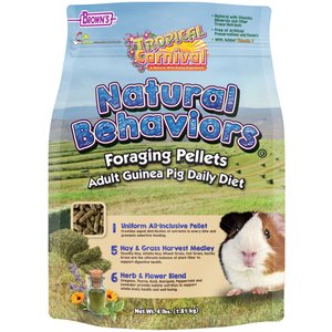 Brown's tropical carnival natural gourmet food for hamsters and gerbils hotsell